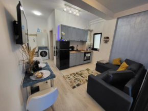 Seb apartment mamaia nord